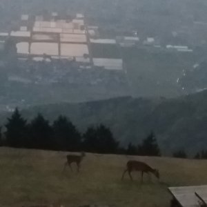 池田山
