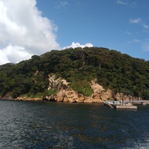 猿島