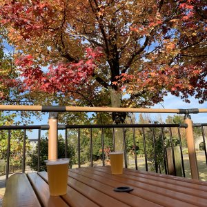 安城産業文化公園デンパーク