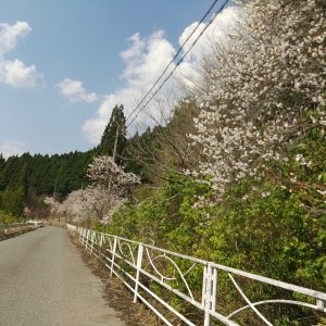 峰山高原