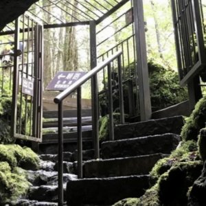 西湖こうもり穴