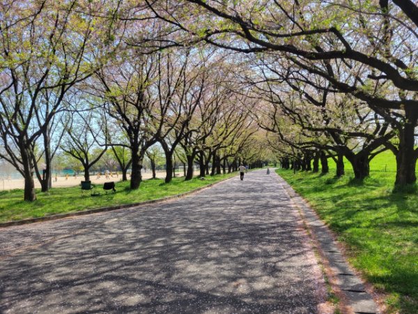 川越水上公園