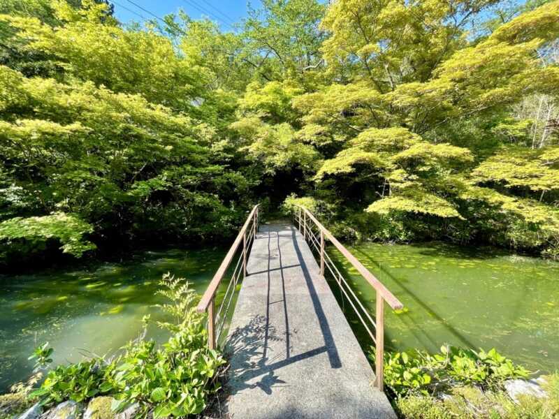 長谷寺