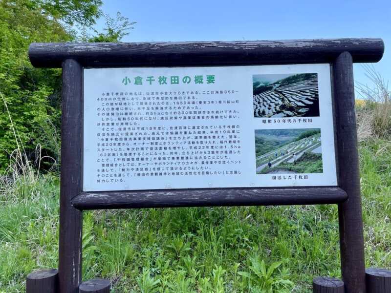 小倉千枚田