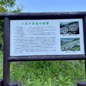 小倉千枚田