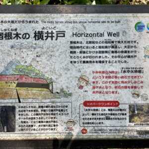 岩屋山石窟