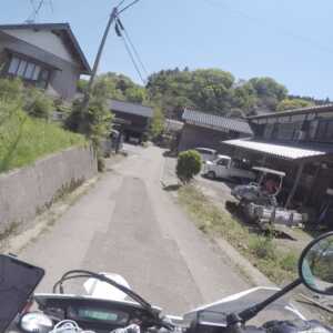 法乗坊の種蒔き桜