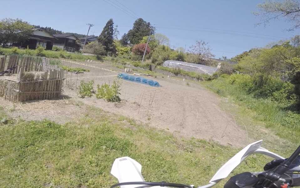 法乗坊の種蒔き桜