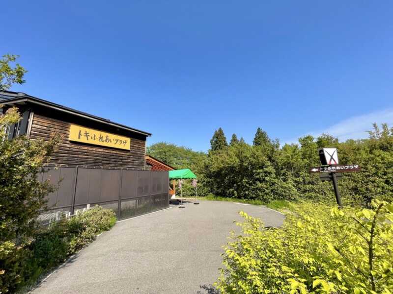 トキの森公園