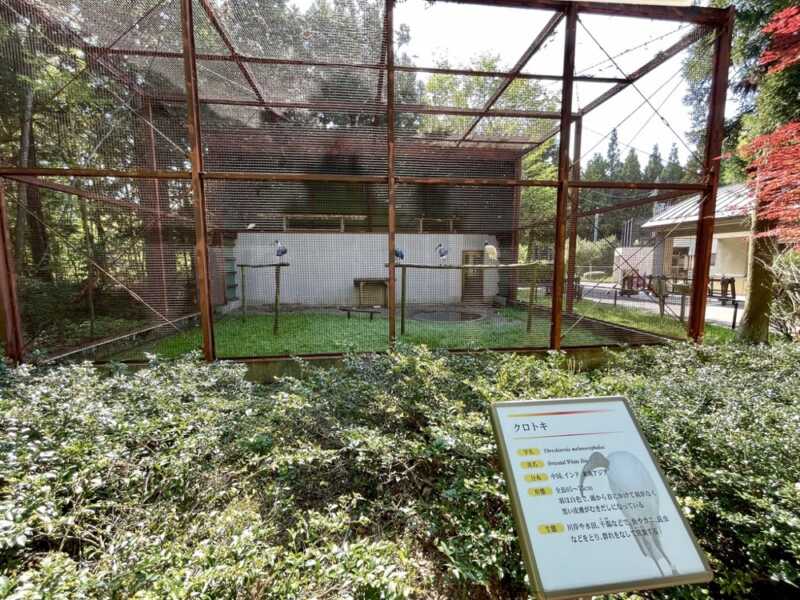 トキの森公園