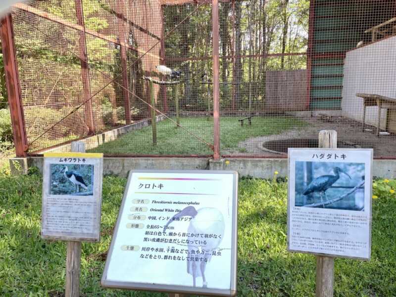 トキの森公園