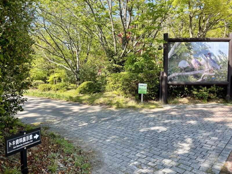 トキの森公園