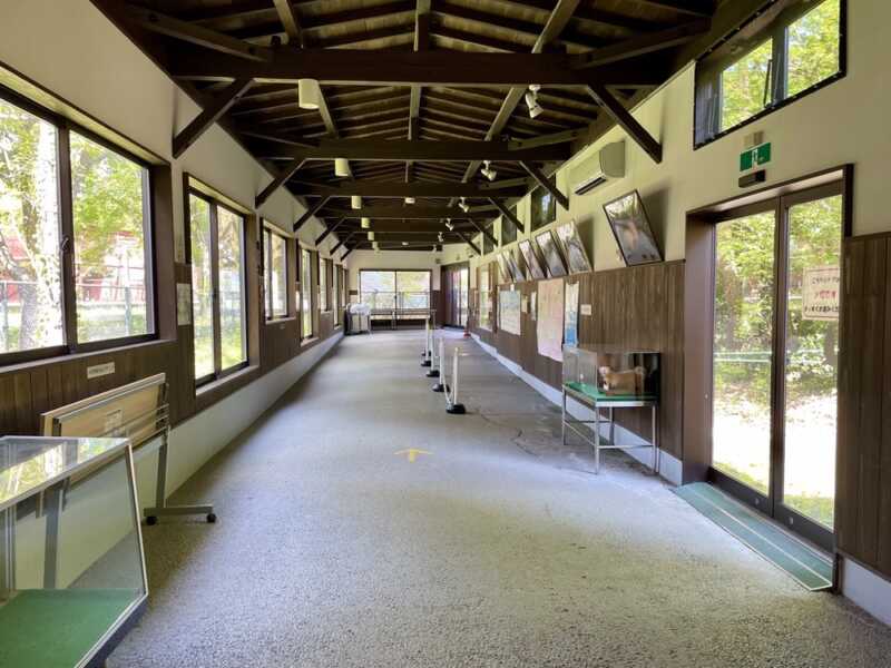 トキの森公園