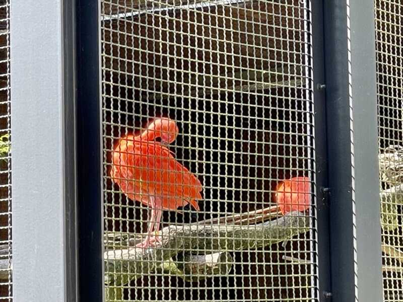 トキの森公園