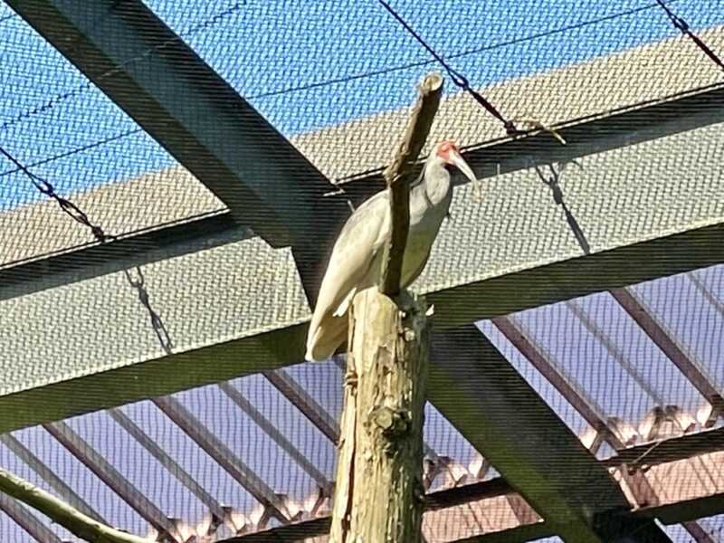 トキの森公園