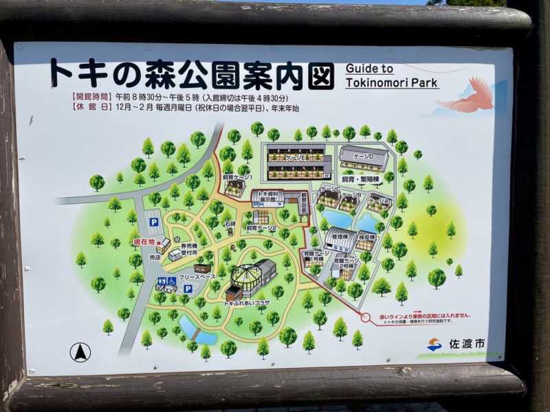 トキの森公園