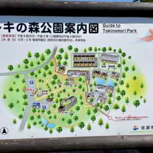 トキの森公園