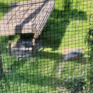 トキの森公園