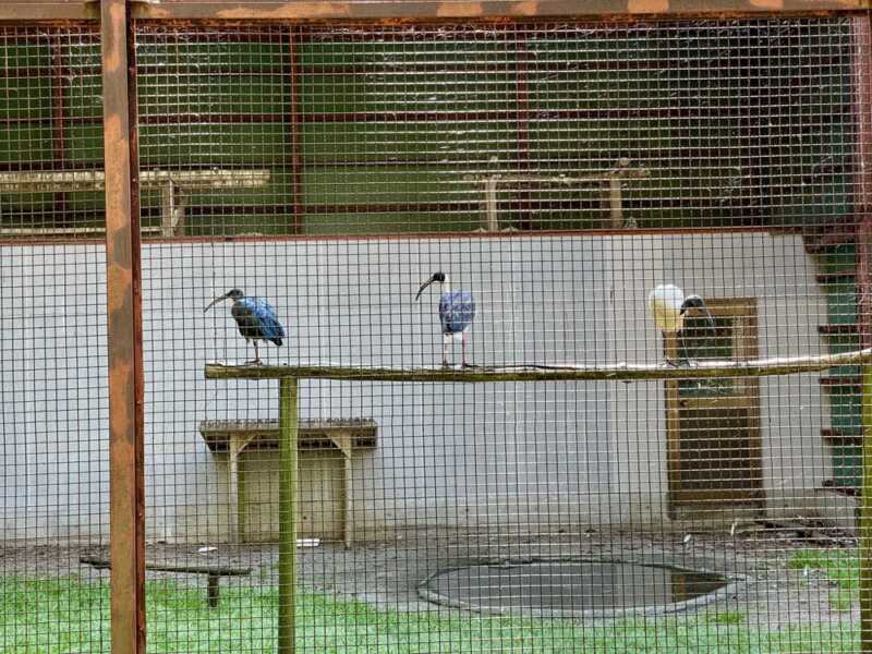 トキの森公園