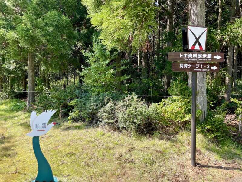 トキの森公園