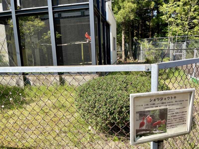 トキの森公園