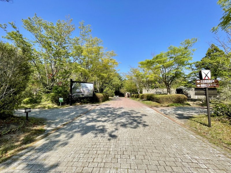 トキの森公園