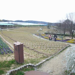 農業公園サバーファーム