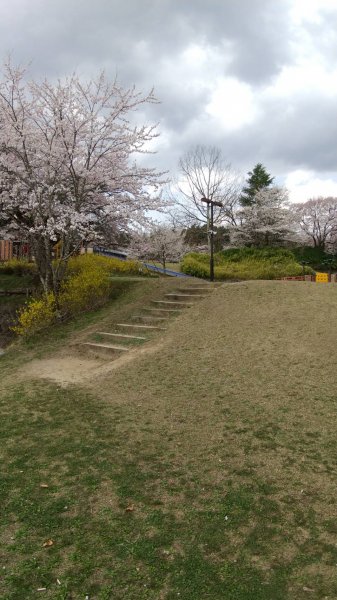 かざこし子どもの森公園