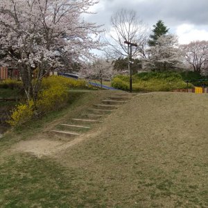 かざこし子どもの森公園