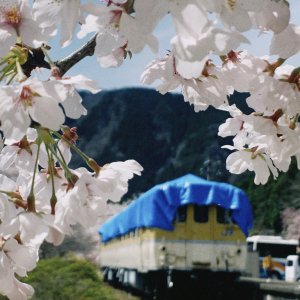 安野花の駅公園