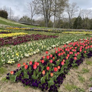 まんのう公園
