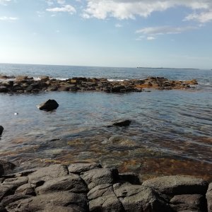 黄金岬海浜公園