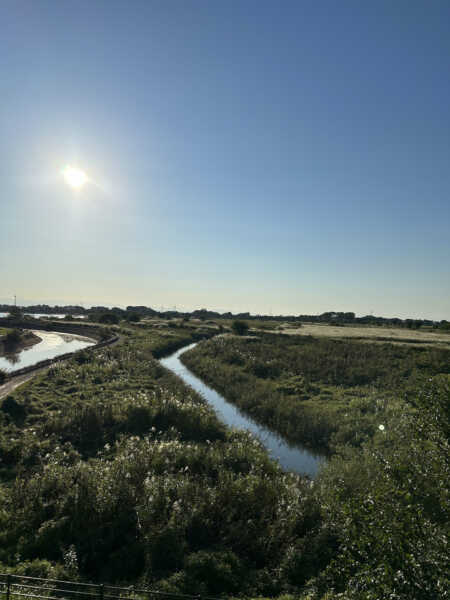 渡良瀬遊水地