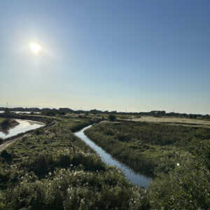 渡良瀬遊水地