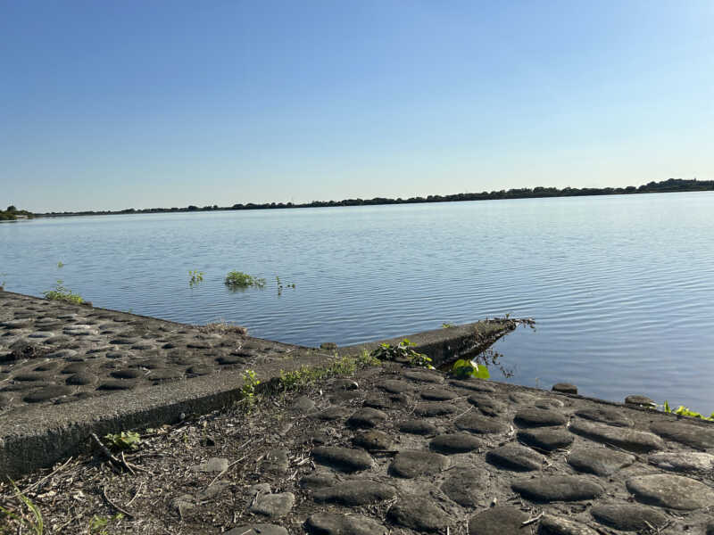 渡良瀬遊水地