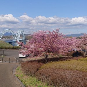 西海橋