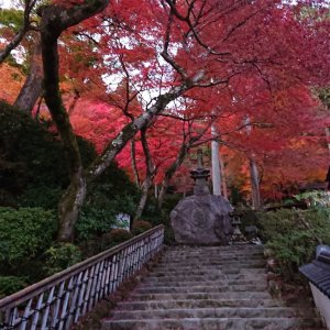 大興善寺