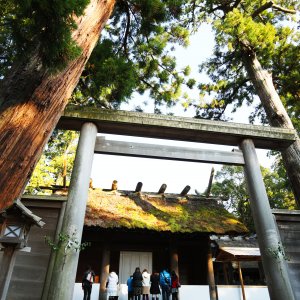 豊受大神宮 (伊勢神宮 外宮）