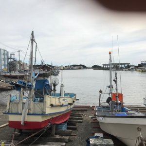 三崎漁港