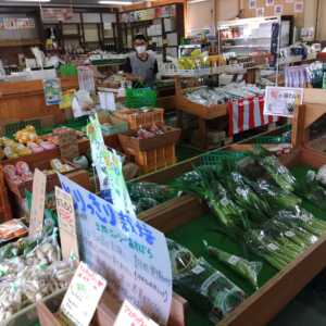 とれたて野菜直売所ベジ太くん