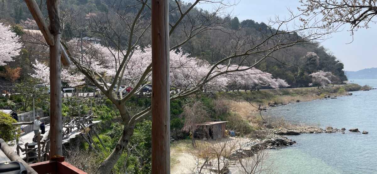 シャーレ水ヶ浜