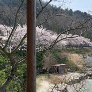 シャーレ水ヶ浜