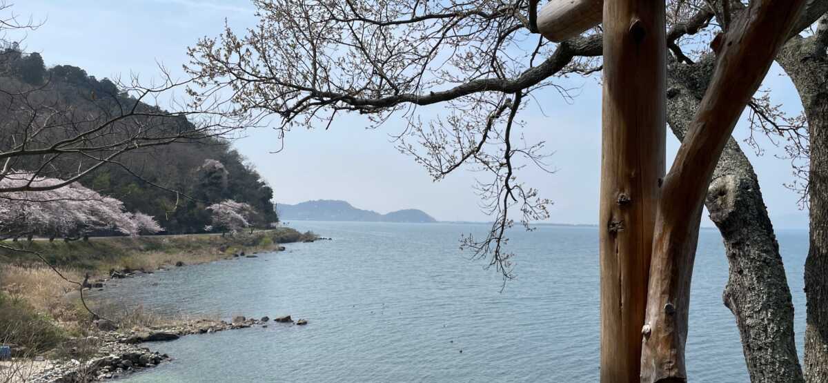 シャーレ水ヶ浜