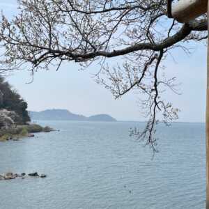 シャーレ水ヶ浜
