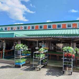 四季彩館農産物直売所