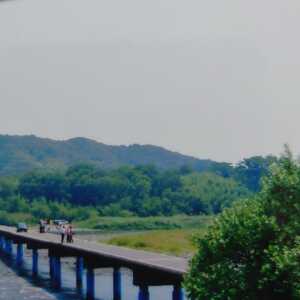 佐田沈下橋