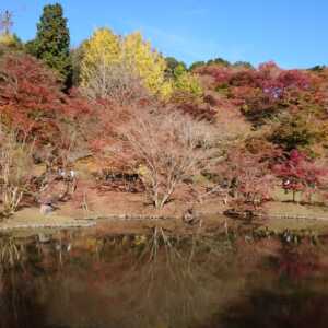 用作公園