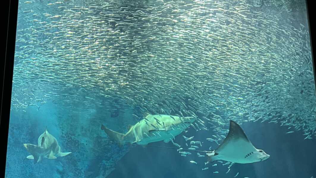 海の中道海浜公園
