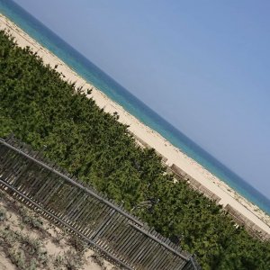 海の中道海浜公園
