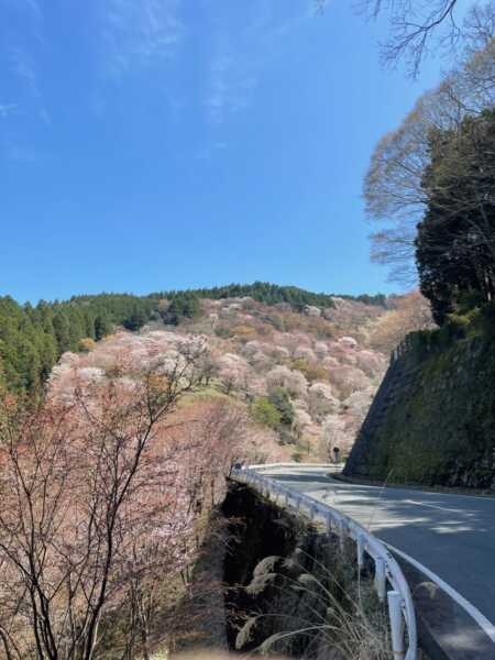 花屋倉展望台